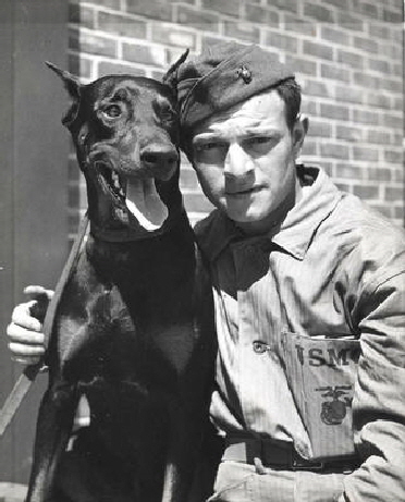 Dobermann Hamburg , Devevel Dogs US Army (5)
