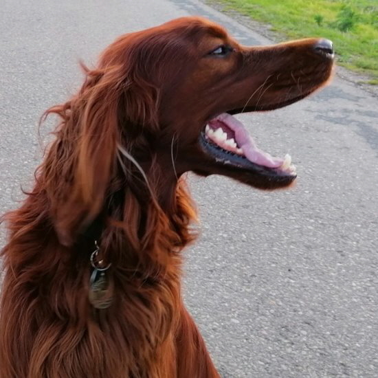 7bd236cc-c3dc-410c-85b6-1341ef513212 a