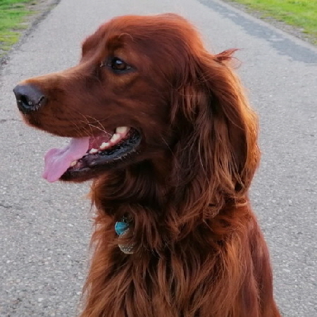 7bd236cc-c3dc-410c-85b6-1341ef513212 b