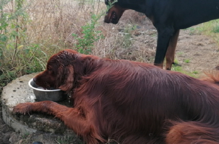 7bd236cc-c3dc-410c-85b6-1341ef513212 b2