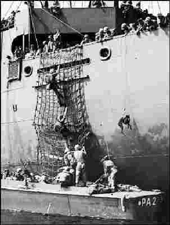 Dobermann Hamburg , Devevel Dogs US Army (3)