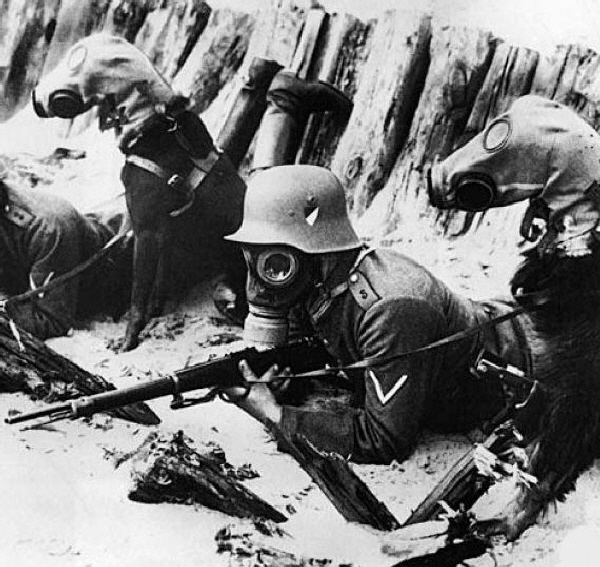 Devil Dogs, Haseldorf, Deutsche Einheiten (1)