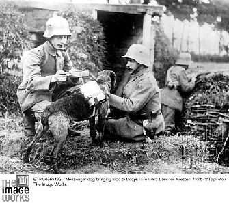 Devil Dogs, Haseldorf, Deutsche Einheiten (10)