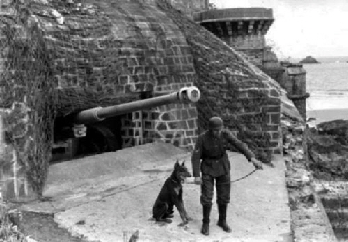 Devil Dogs, Haseldorf, Deutsche Einheiten (3)