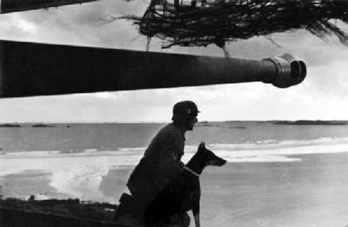 Devil Dogs, Haseldorf, Deutsche Einheiten (5)