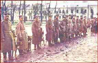 Devil Dogs, Haseldorf, Deutsche Einheiten (8)