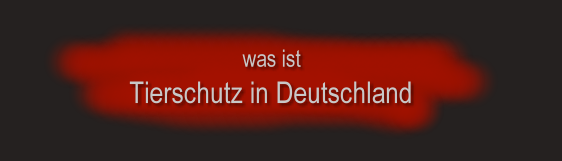 was ist Tierschutz in Deutschland was ist Tierschutz in Deutschland