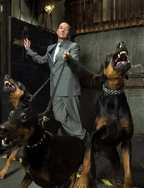 13327433_1225970097435410_1639102901352254225_n 13327433_1225970097435410_1639102901352254225_n