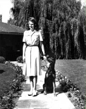 rita hayworth , dobermann hamburg rita hayworth , dobermann hamburg