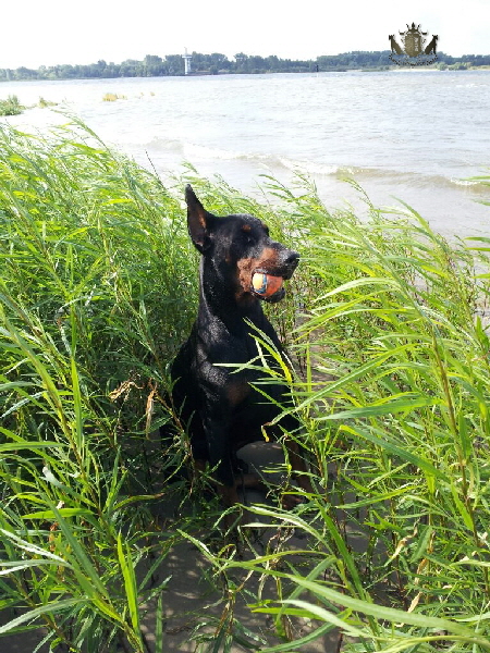 IMG-20150706-WA0002 1